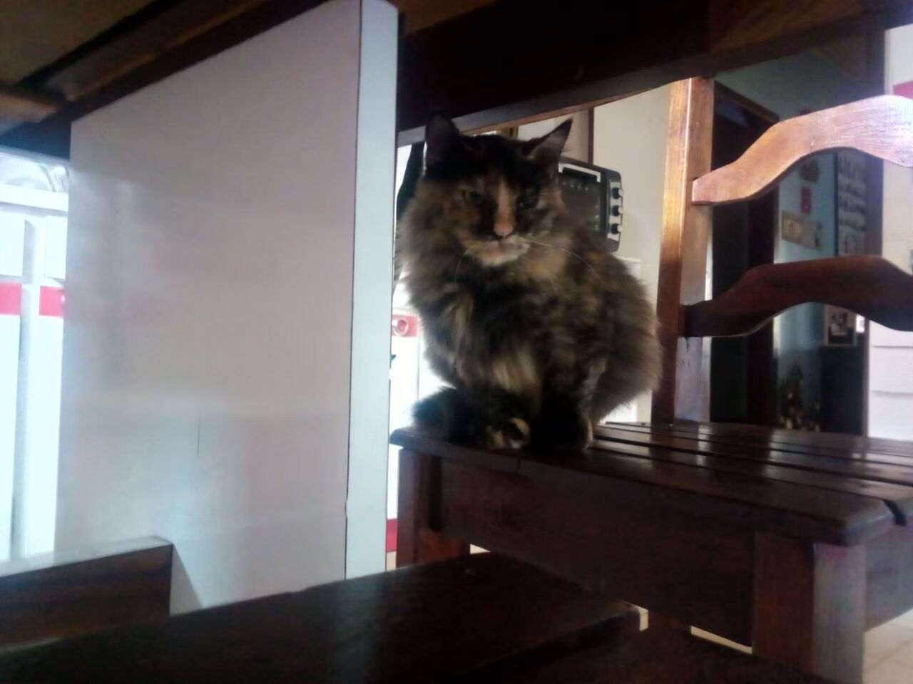 “青春火炬”青少年体育文化节在武汉盛大开幕,弘扬体育精神,武汉市体育运动学校青少年体育俱乐部