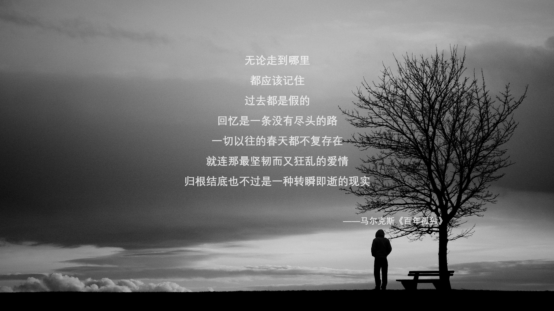 【投票选MVP】粉丝投票出年度最具影响力球员,mvp球迷投票