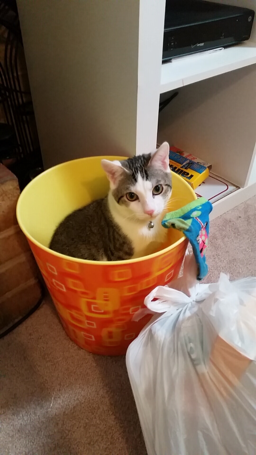 开云中国-【棒球天才崛起】新星快速成长引领球队未来，棒球巨星2021