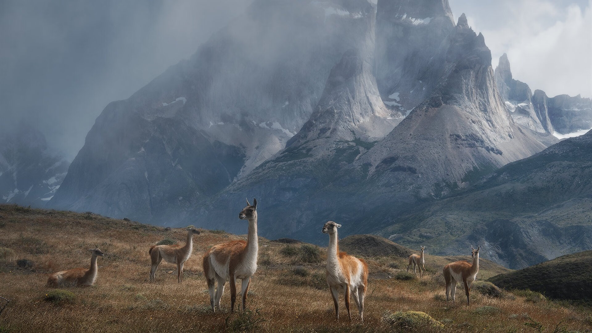 史上最炸“盖帽”“绝杀”对决：谁的表现最令人难忘？，nba盖帽绝杀