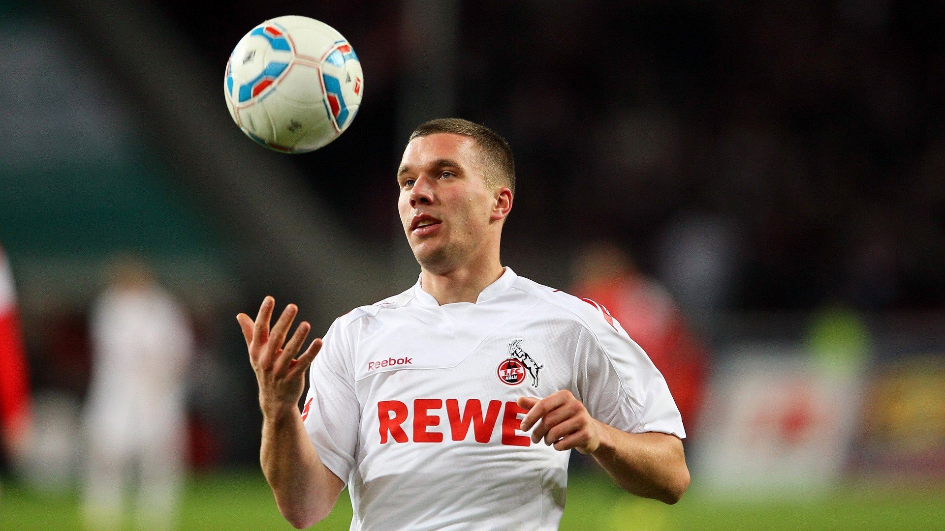 库里成长：如何在联盟中打造“水花兄弟”王朝，库里6花卉